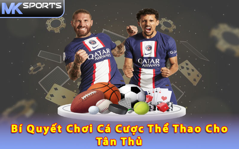 Bí quyết chơi cá cược thể thao cho tân thủ