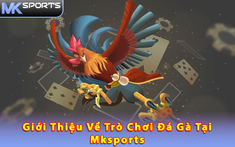 Giới thiệu về trò chơi đá gà tại Mksports