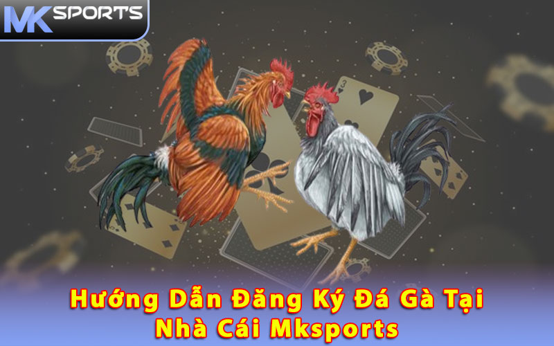 Hướng dẫn đăng ký đá gà tại nhà cái Mksports 