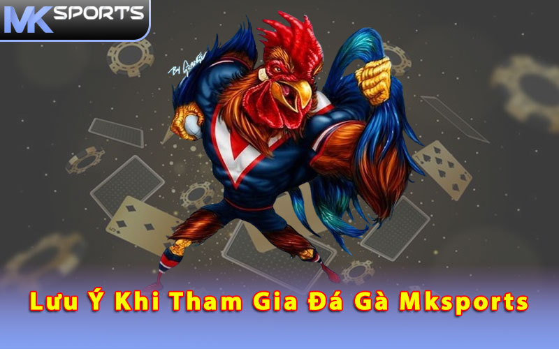 Lưu ý khi tham gia đá gà Mksports